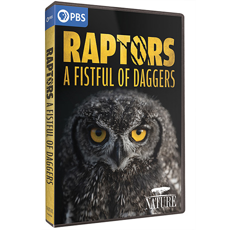 Shop NATURE: Raptors - A Fistful of Daggers DVD